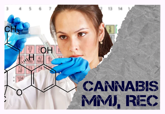 Cannabis, MMJ/REC