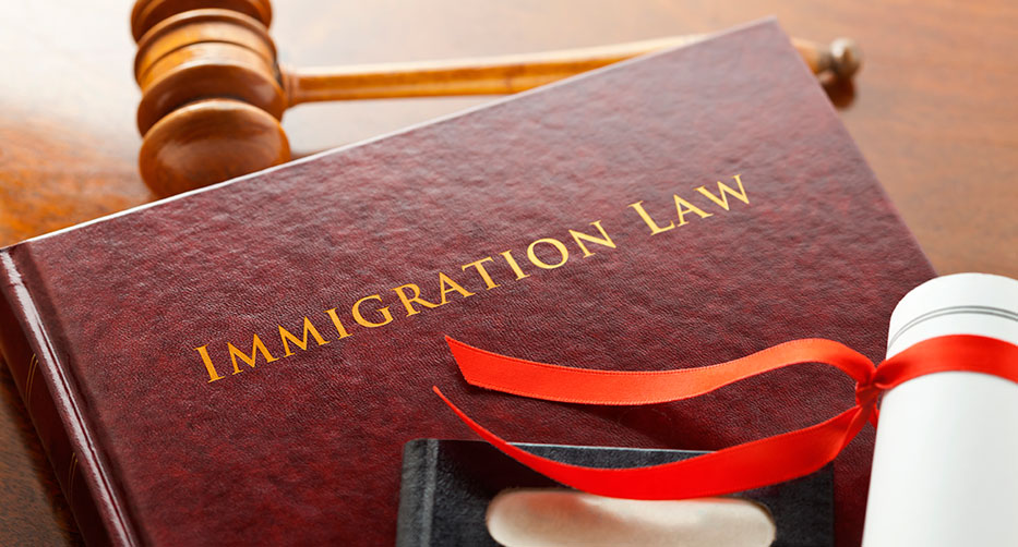 Immigration Law