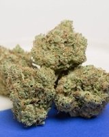 Serra Dispensary Belmont