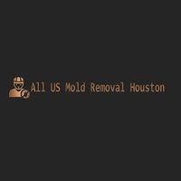 All US Mold Removal Houston TX
