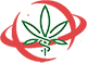 Buy medical marijuana online usa from calikushstores.com