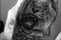 Permanent Lines Art Studios