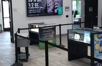 Star Buds Dispensary Recreational Marijuana Southeast Aurora
