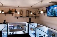 Green Earth Collective Cannabis Dispensary Highland Park