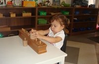 Community Montessori School