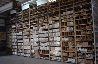 Shell Lumber Ace Hardware