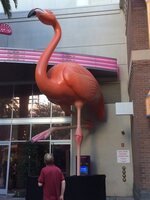 Flamingo Race & Sports